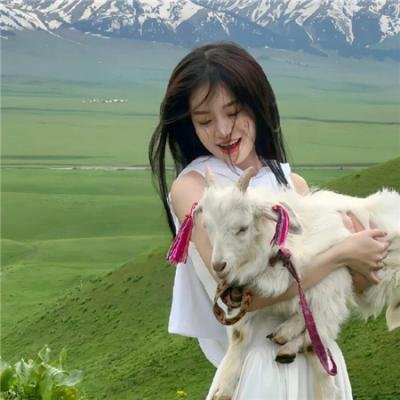 红场飞龙